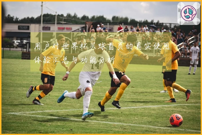 用户对世界杯买球首页的真实使用体验汇总与功能分析
