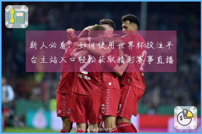 新人必看：如何使用世界杯投注平台主站入口轻松获取精彩赛事直播及功能指南