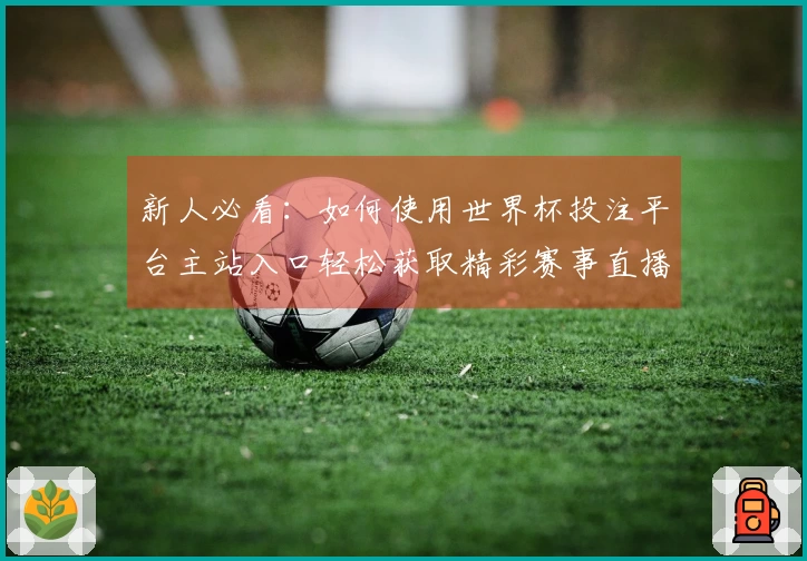 新人必看:如何使用世界杯投注平台主站入口轻松获取精彩赛事直播及功能指南
