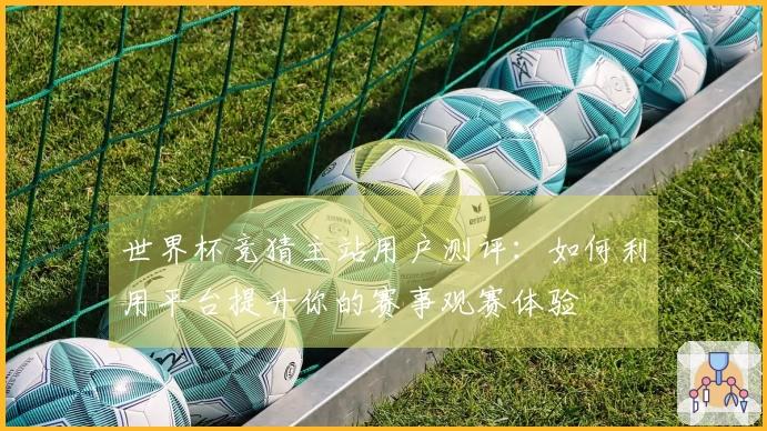 世界杯竞猜主站用户测评：如何利用平台提升你的赛事观赛体验