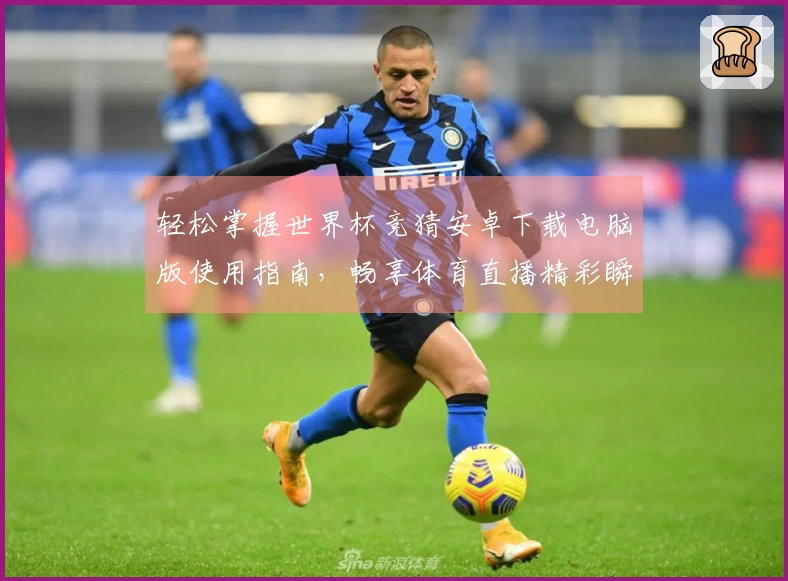 轻松掌握世界杯竞猜安卓下载电脑版使用指南，畅享体育直播精彩瞬间