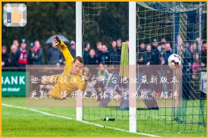 世界杯投注平台平台地址最新版本更新：提升使用体验与功能介绍详解